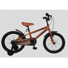 Bicicleta infantil Umit XT18 Naranja